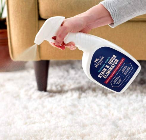 Hand sprays white bottle of Rocco & Roxie Professional Strength Stain & Odor Eliminator on a carpet stain
