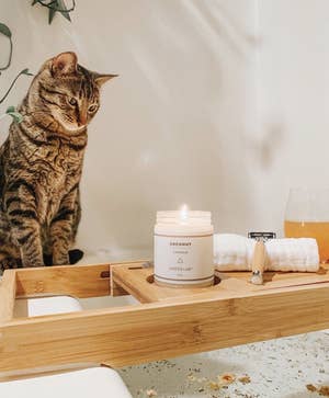 a white lit candle on a tray with a cat contemplating either the candle or the meaning of life 