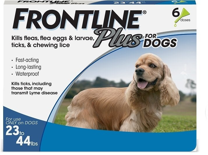 A box of Frontline protection for dogs