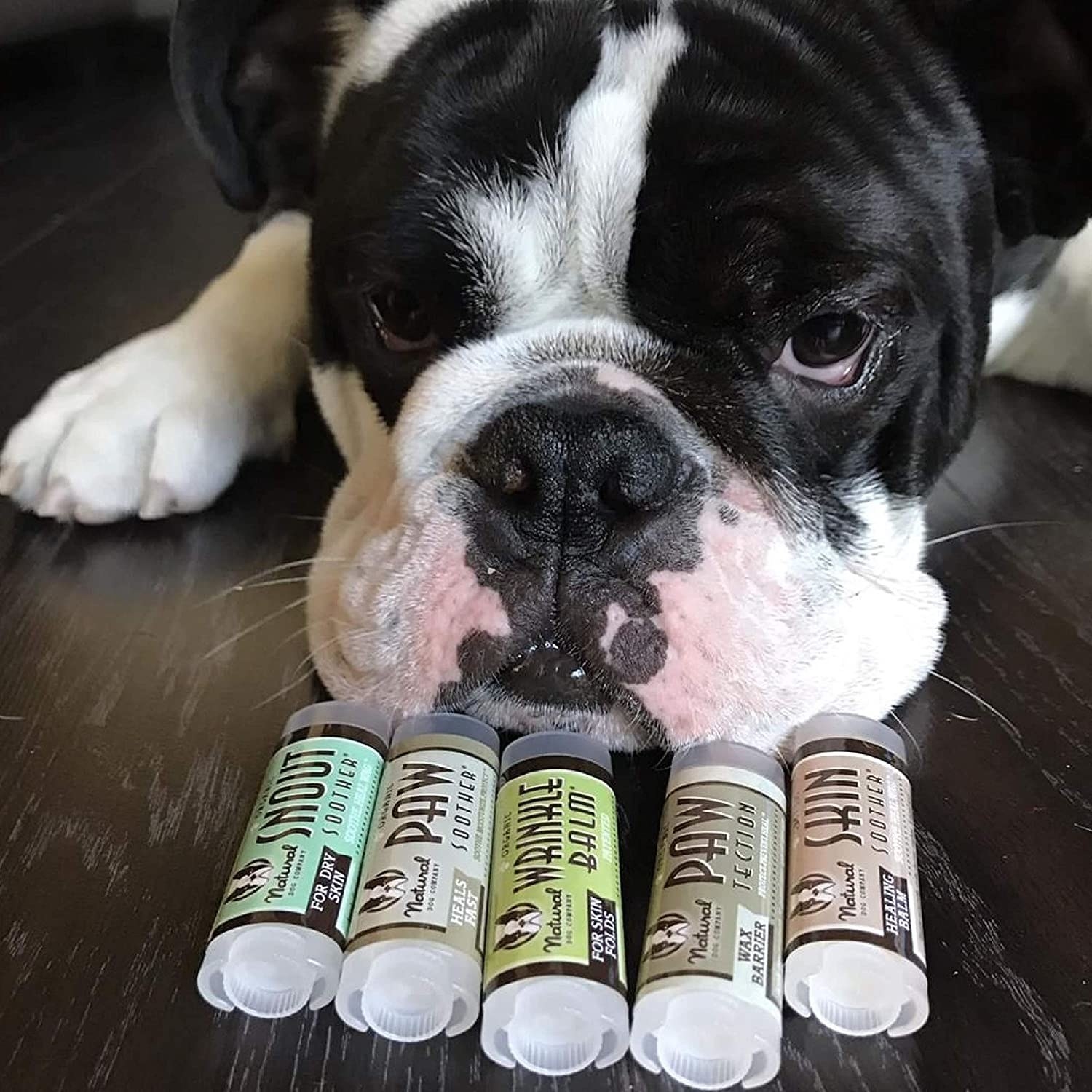 Reviewer&#x27;s dog laying next to the balms 