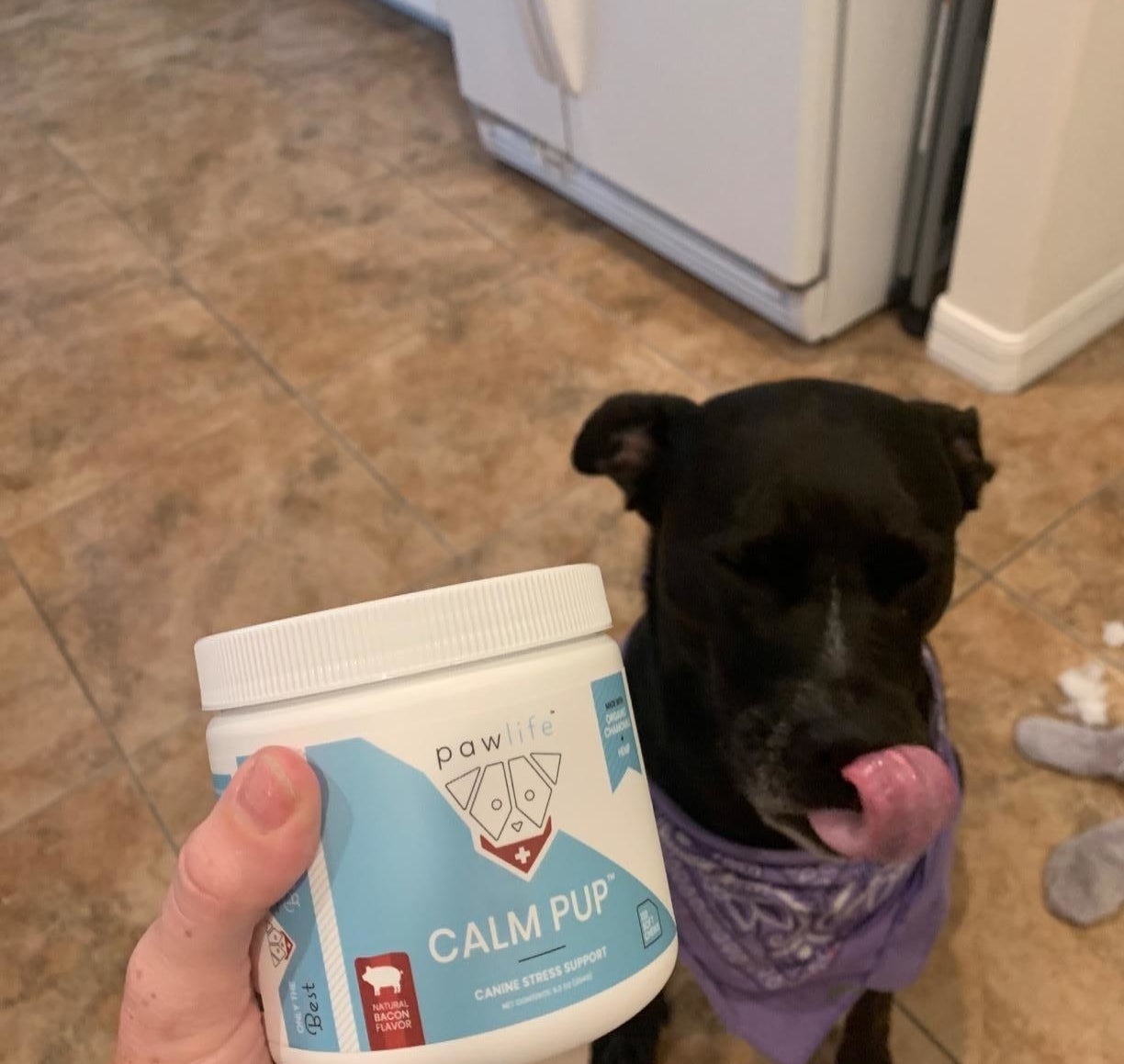 Reviewer holding the jar of chews in front of their dog 