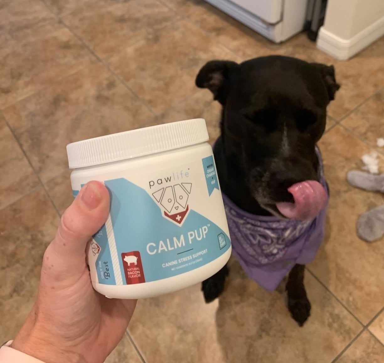Reviewer holding the jar of chews in front of their dog 