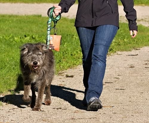 Model walking a dog with the kit pouch attached to the leash 