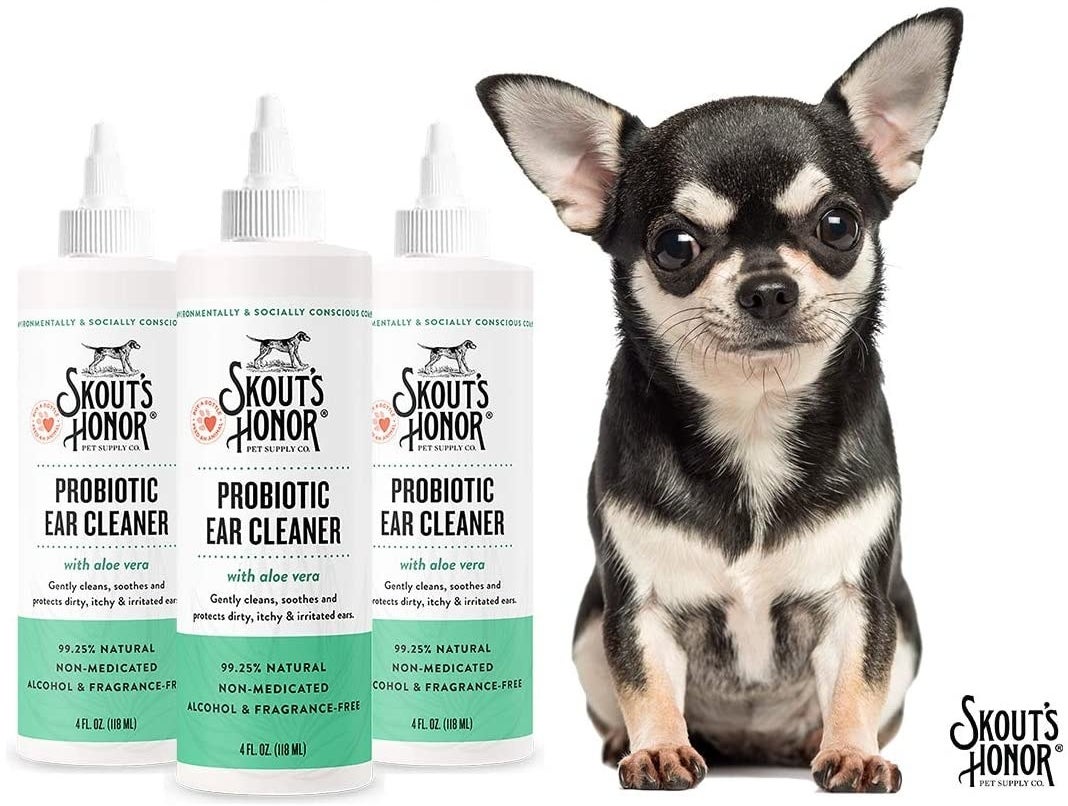A small dog next to the bottles of ear cleaner 
