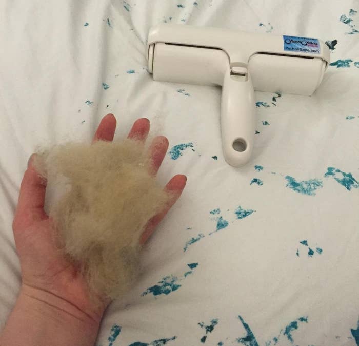 reviewer photo of hand holding clump of fur next to the white hair remover