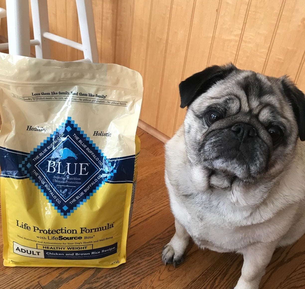 reviewer photo of pug next to the bag of food
