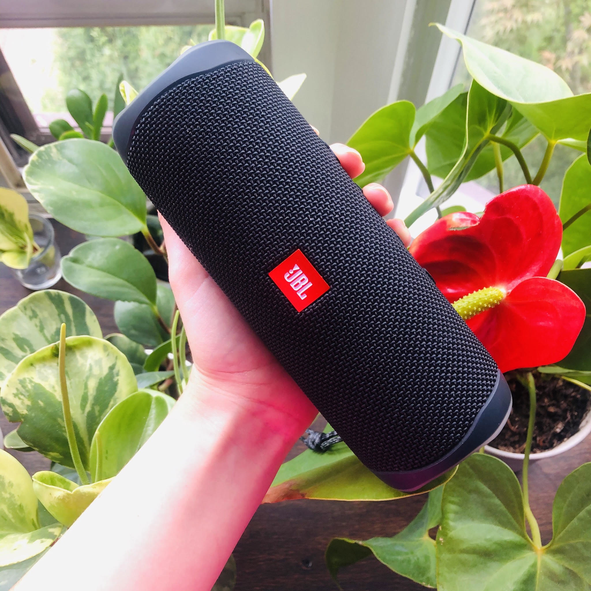 A person holding the JBL speaker in front of a plant