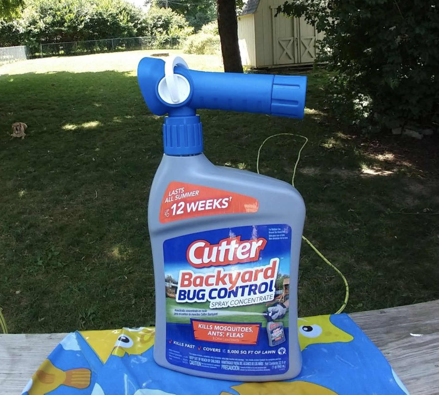 reviewer photo of the large bottle labeled &quot;Cutter backyard bug control&quot; 