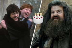 Harry and Ron celebrating Hagrid