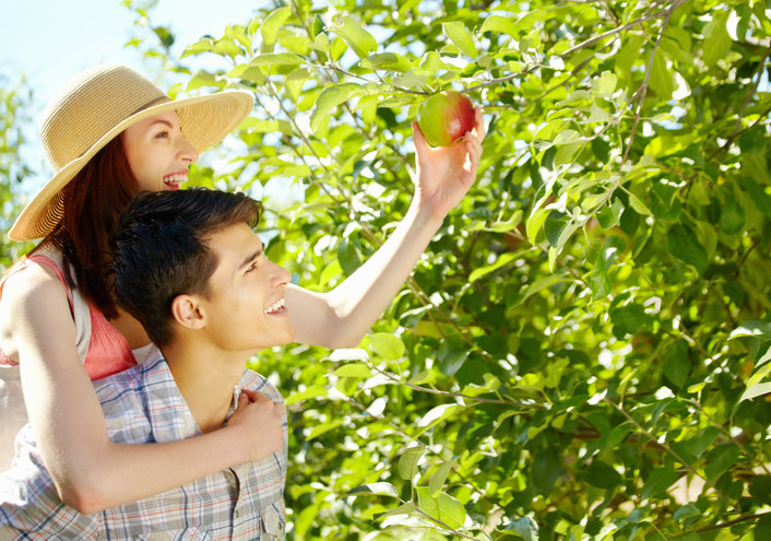 Couple, man and woman, picking apples.