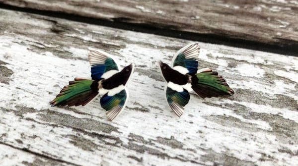 Stud earrings that look like a Magpie bird with black, white, blue, and green colors on it