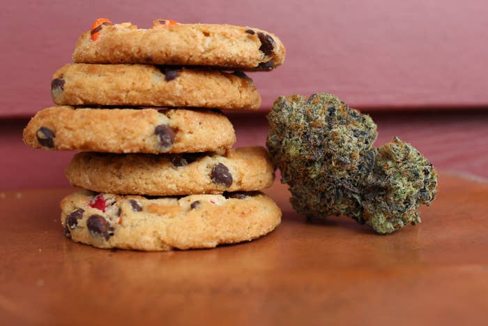 Cannabis cookies with cannabis next to it