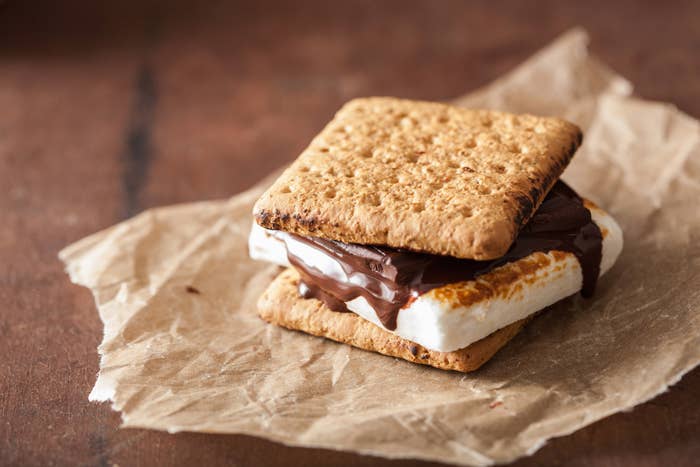 A s'more with super melty chocolate.