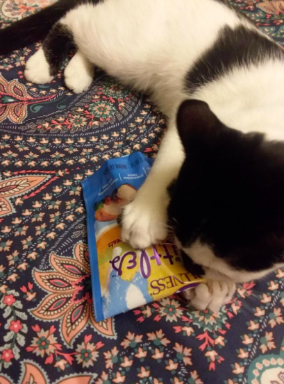 Reviewer&#x27;s cat plays with a bag of Wellness Kittles Cat Treats on a floral carpet