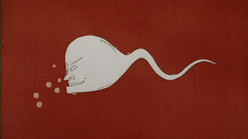 A Woman On Tiktok Got Pregnant Without Having Sex Contribute to nanobytesinc/nbf development by creating an account on github. on tiktok got pregnant without having sex