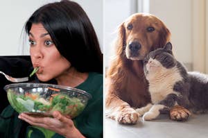 On the left, Kourtney Kardashian eats a salad out of a large plastic bowl on "Keeping Up With the Kardashians," and on the right, a golden retriever and lies on the floor and a cat snuggles up next to it