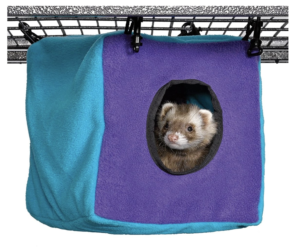 A ferret hanging out in a teal and purple plush cube