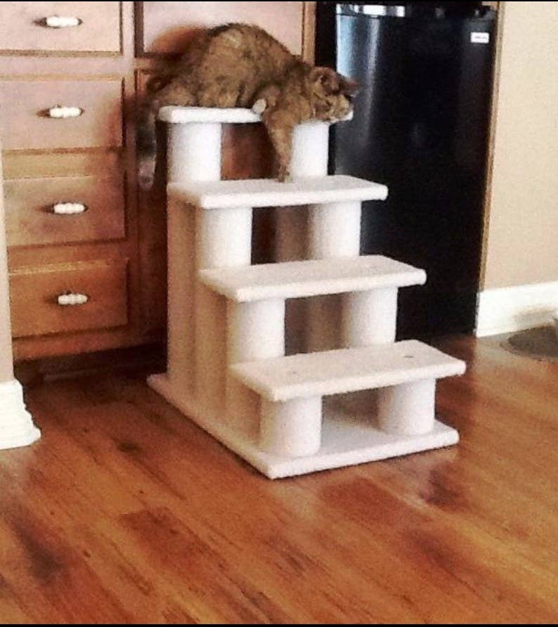 26 Products From Amazon That Senior Cat Owners Swear By