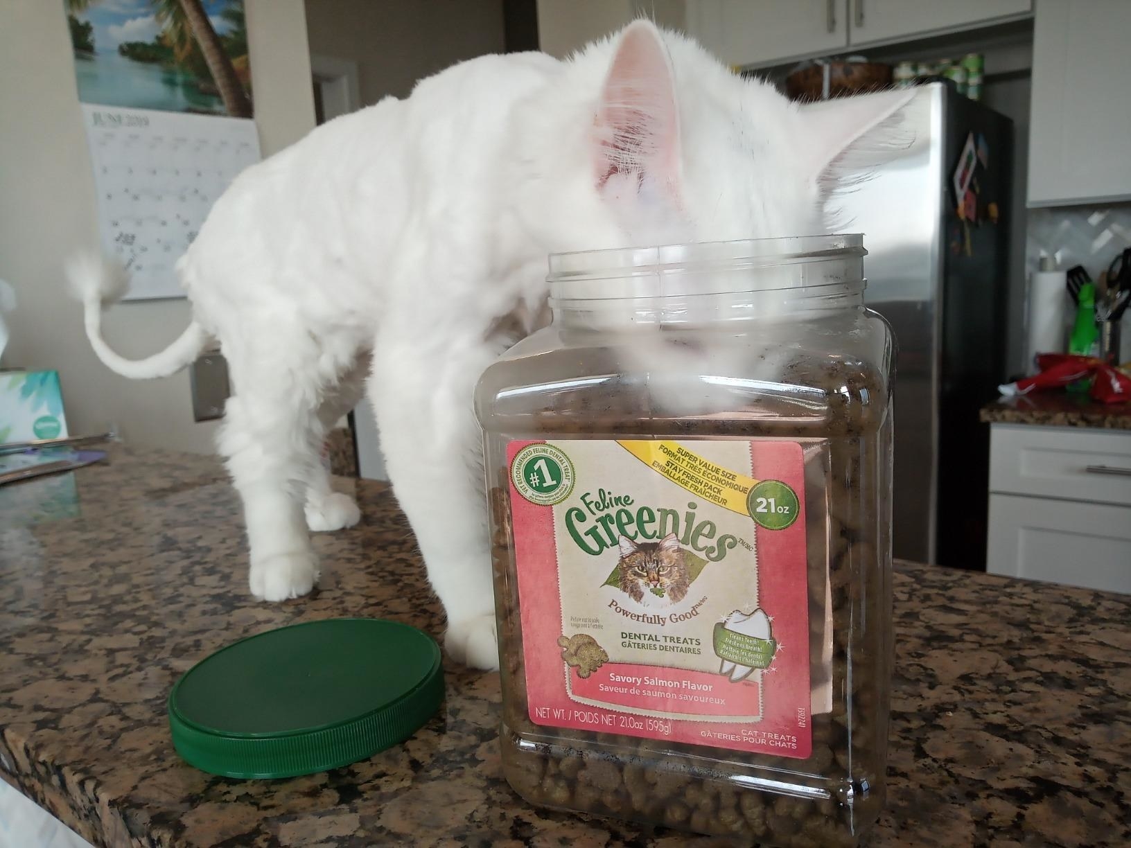 reviewer&#x27;s cat puts whole head into treat container. treats are small and fish shaped 