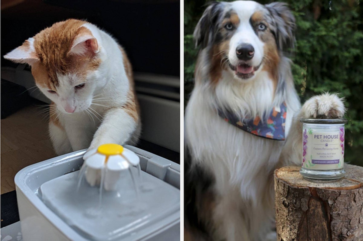 37 Things That Just Want To Make Life Easier For Pet Owners