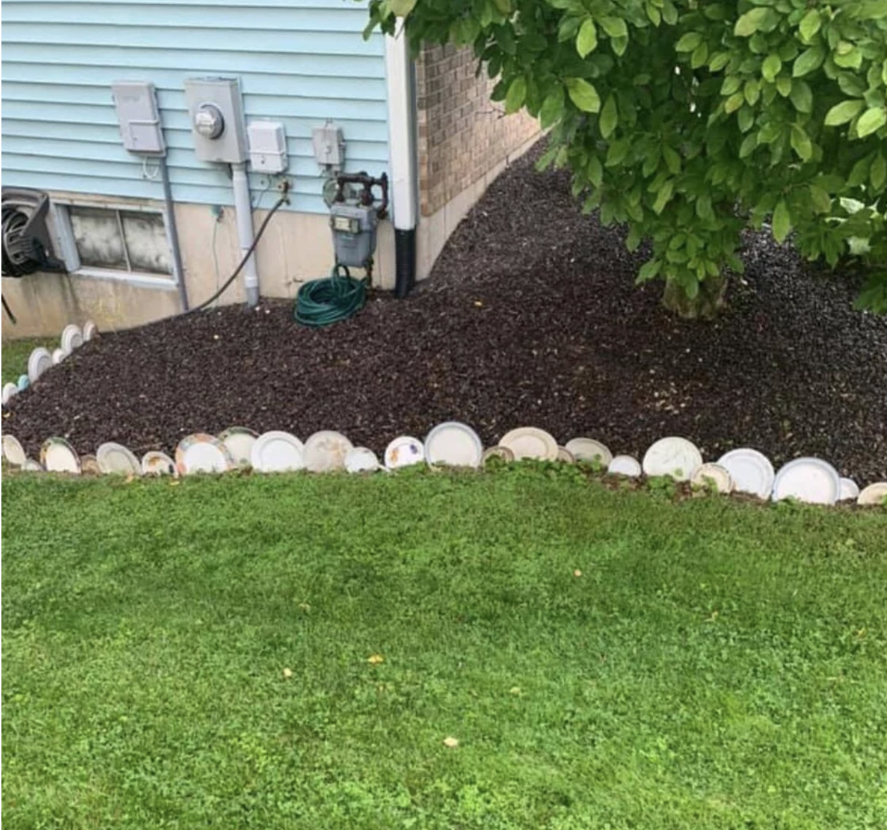 Dishes are stuck in the ground separating grass from another section