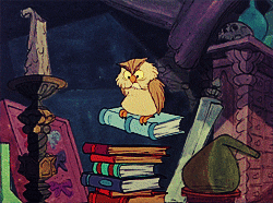 The owl from the sword in the stone jumps from book to book