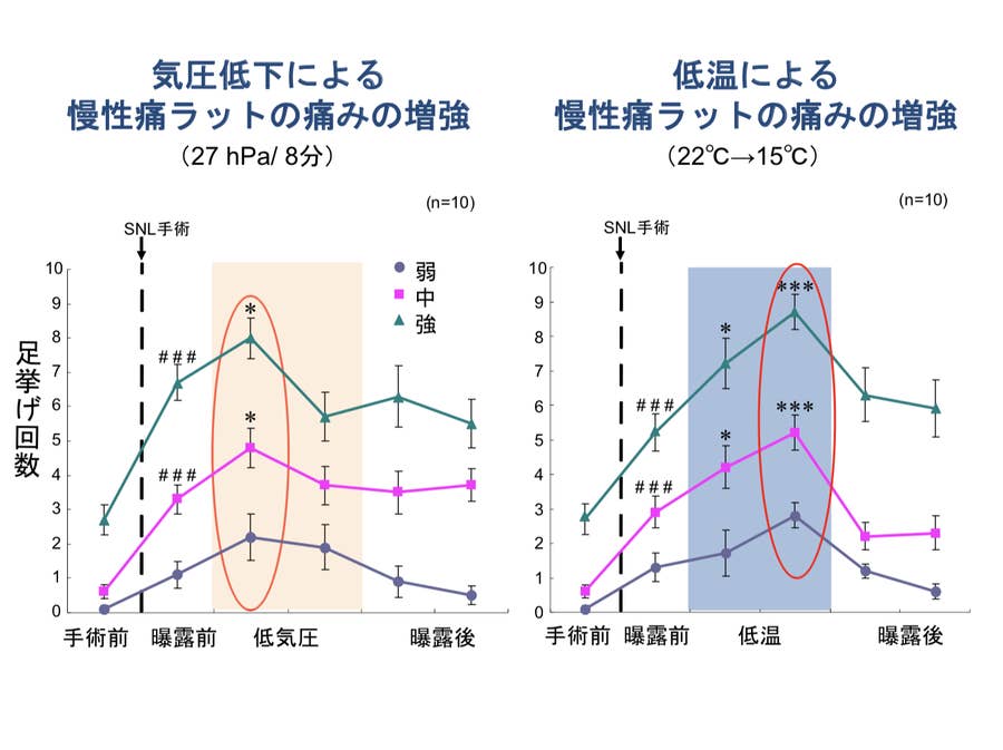 低気圧の時は頭痛がひどい 寒い季節は関節が痛む 天気の変化に伴う 気象病 はどこまで解明されているのか