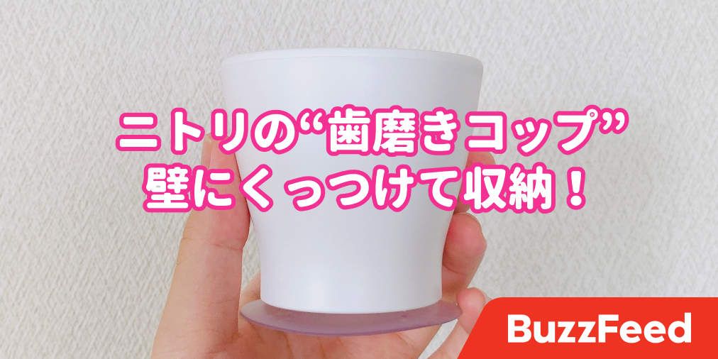 壁に投げたらくっつくやつ