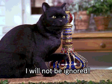 Salem saying &quot;I will not be ignored!&quot; and knocking over a lamp on Sabrina the Teenage Witch