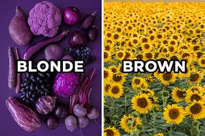 On the right, various purple fruits and veggies with "blonde" typed on top of the image, and on the right, a sunflower field with "brown" typed on top of the image