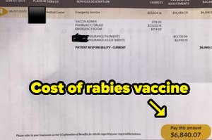 A receipt for a rabies vaccine that shows a cost of $6,840.07