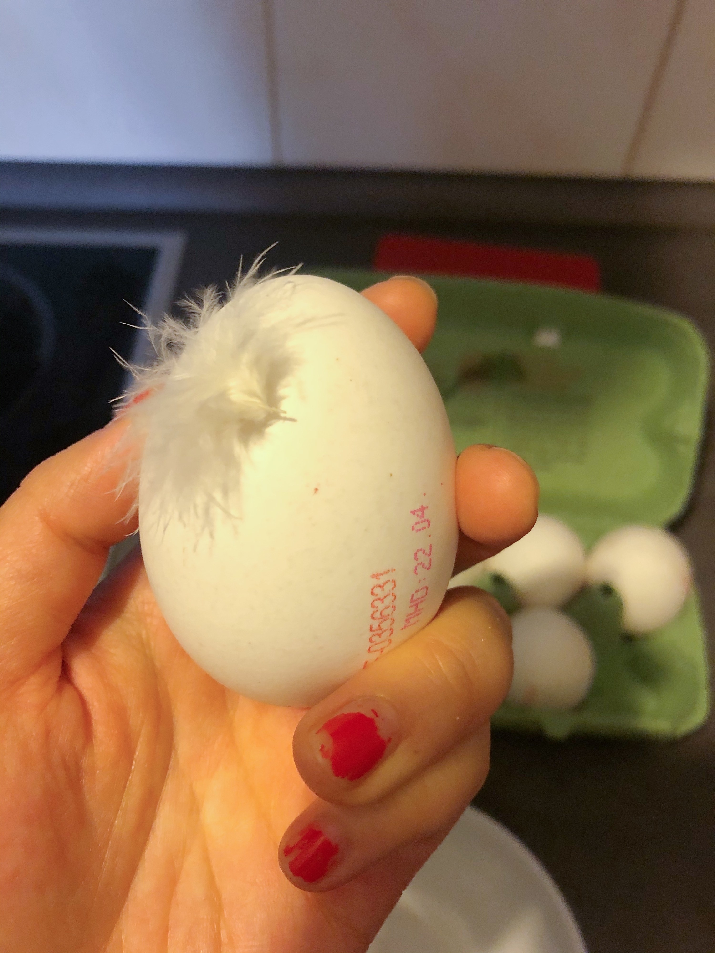 Carton of eggs — with a stray feather visible — at German supermarket.