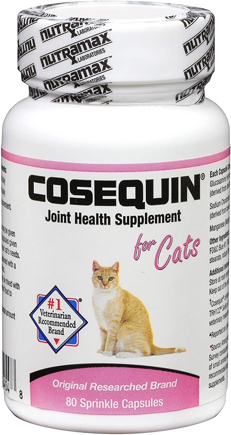 A white jar of cat joint health supplements