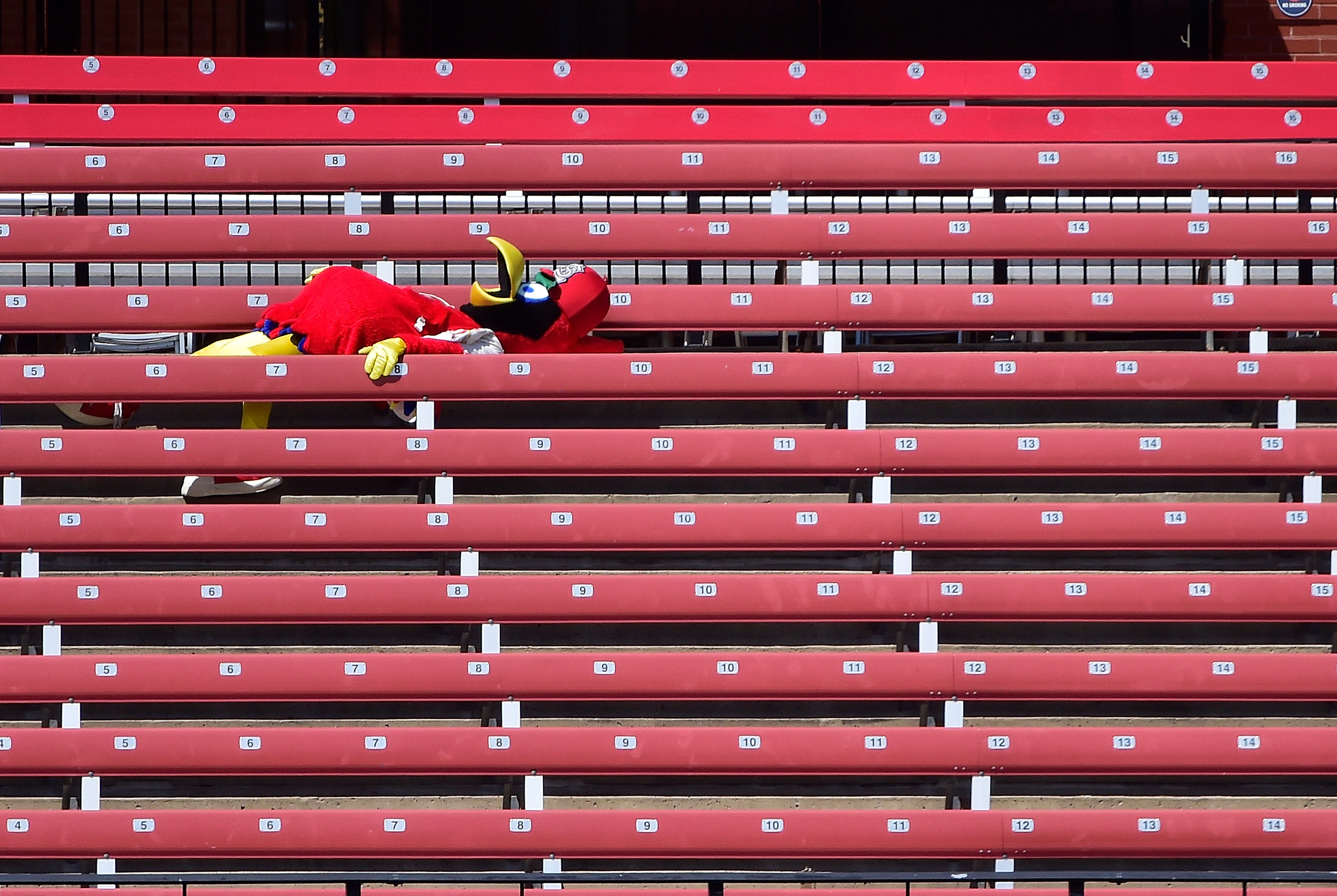 Baseball Mascots In Empty Stadiums: Photos