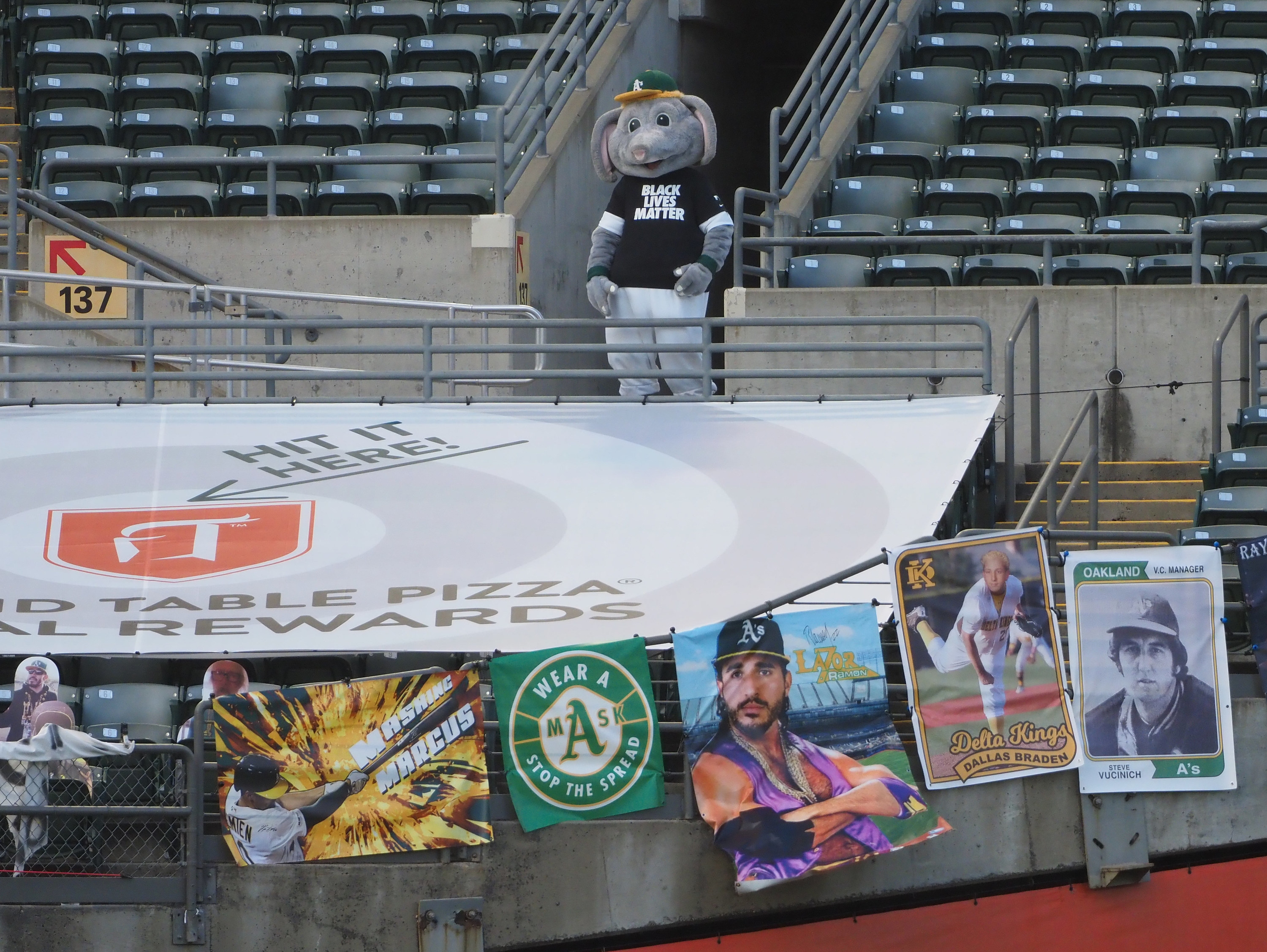 Baseball Mascots In Empty Stadiums: Photos