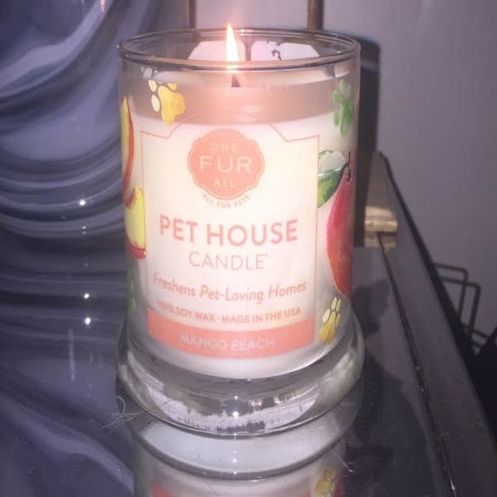 a lit mango peach pet house candle