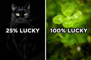 On the left, a black cat with "25% lucky" typed on top of the image, and on the right, a four leaf clover with "100% lucky" typed on top of the image