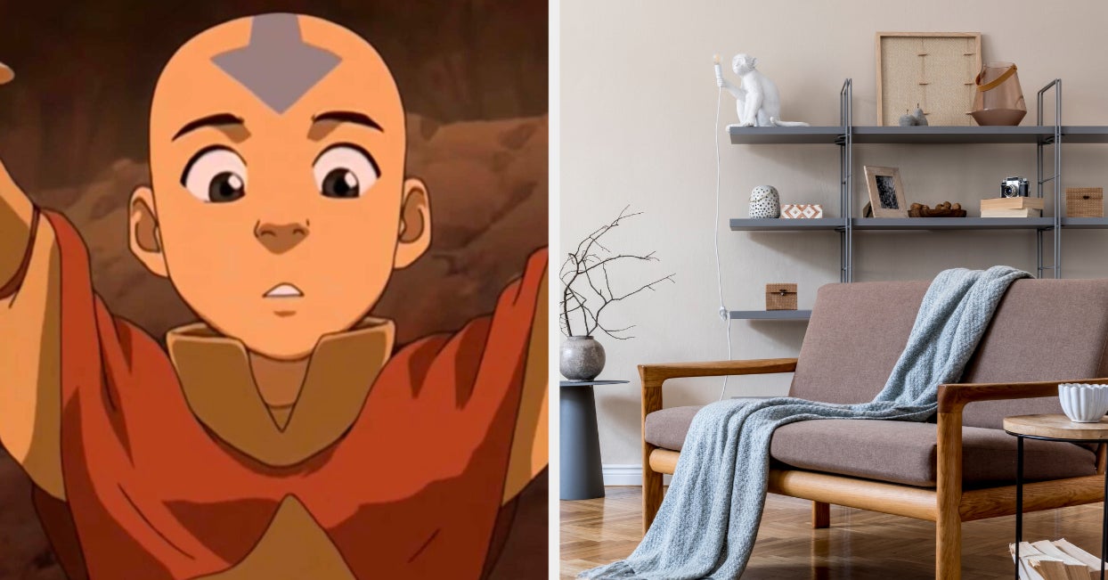 Avatar The Last Airbender Build A House Quiz