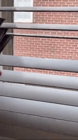 GIF of reviewer running the duster brush across two blinds 