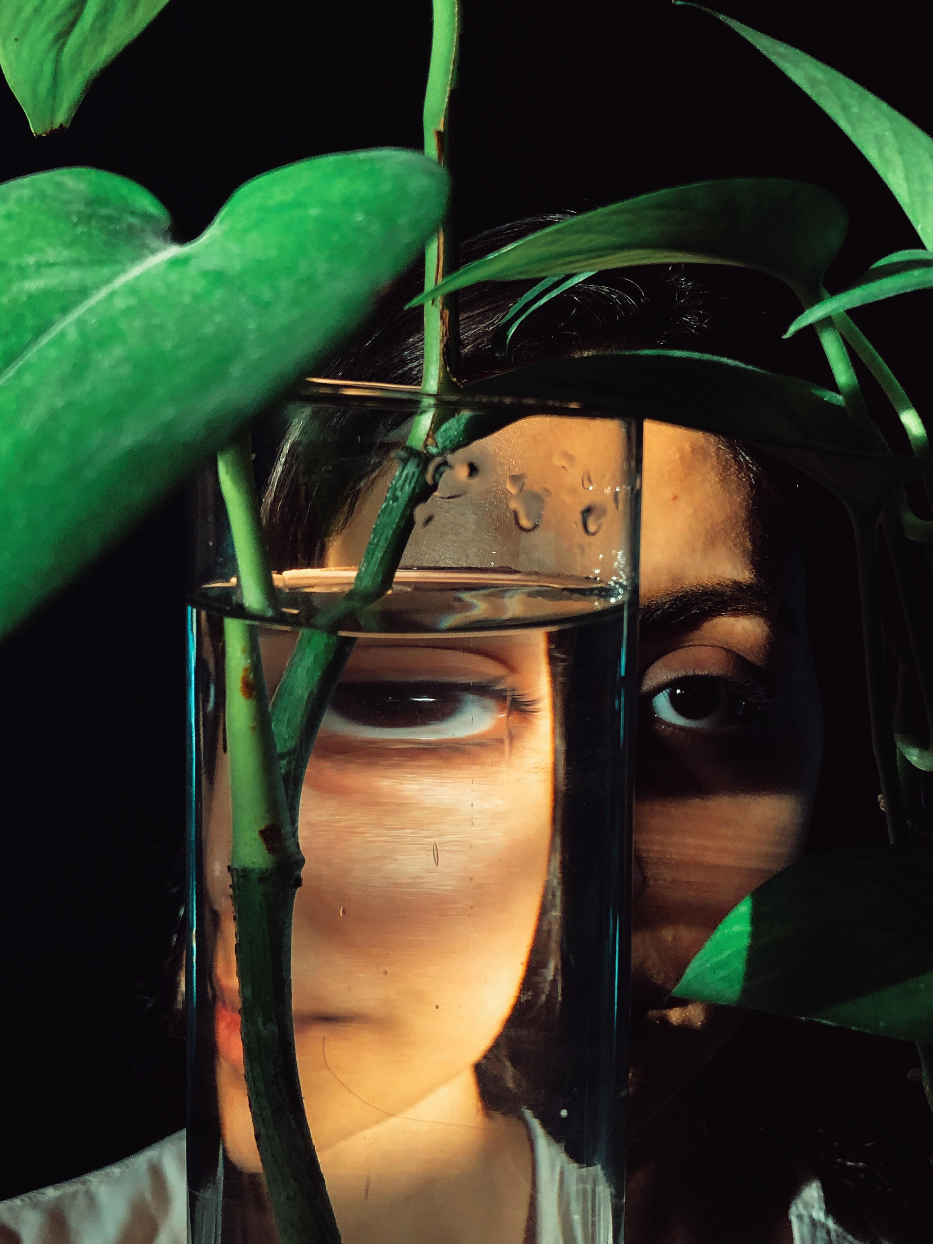 A face is seen through a vase with green leaves