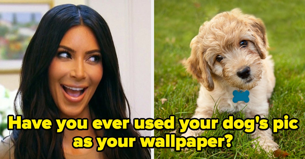 Only People Obsessed With Their Dog Can Pass This Quiz