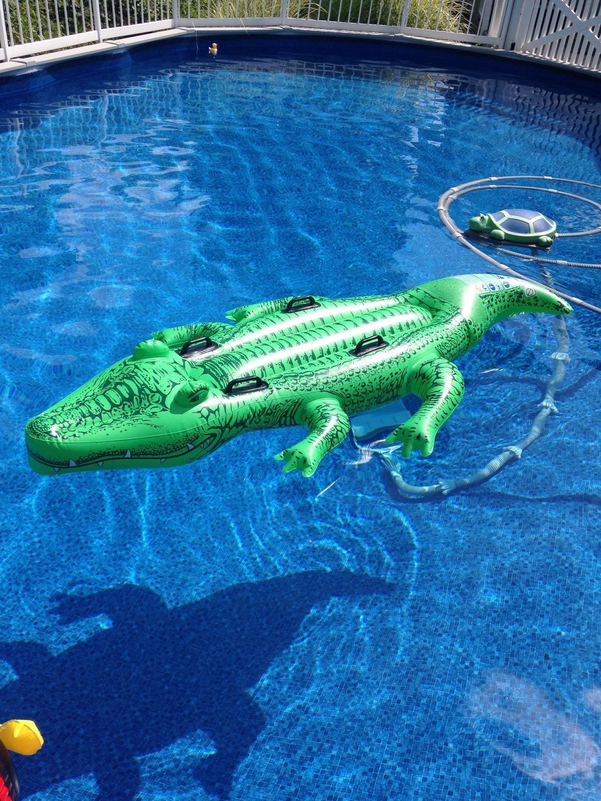 Sun Searcher Crazy Croc Crocodile Ride-On Inflatable Swimming Pool Float for Kids 