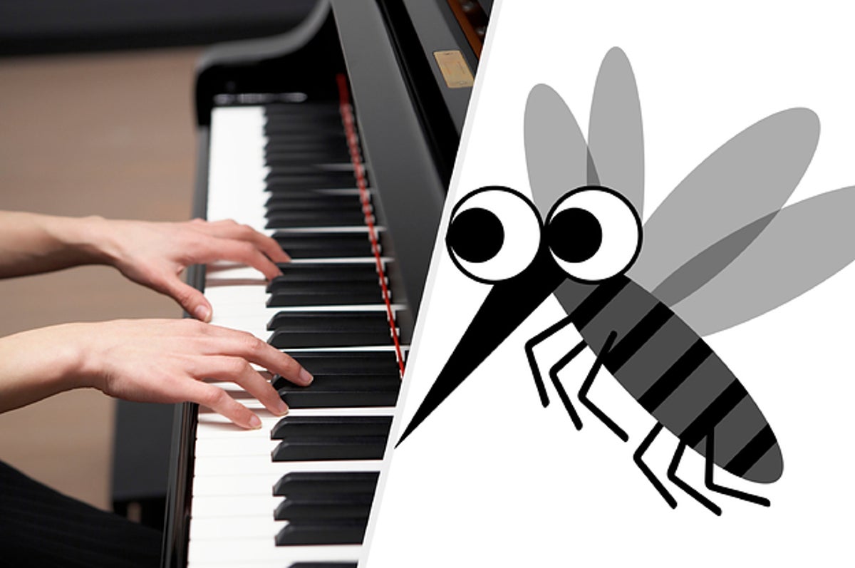 蚊に襲われた時 脳内に流れたメロディーで大学生が作曲 聴いたら部屋を見渡してしまうかも