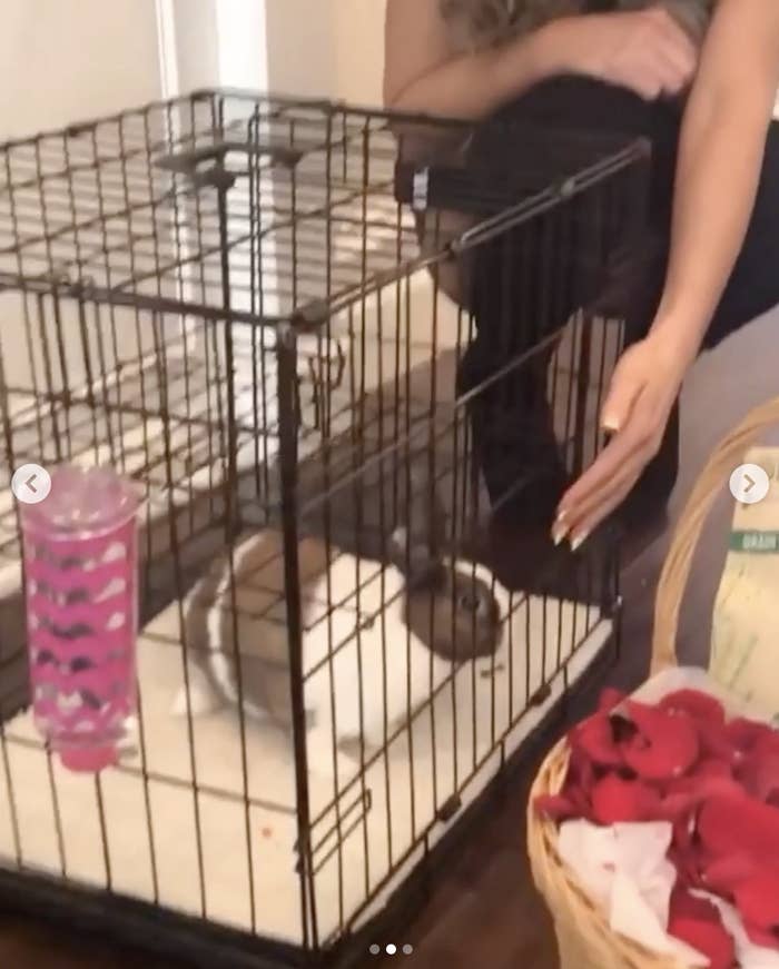 Kate Beckinsale Sent "Pretty Unsettling" Gift By Anonymous Fan