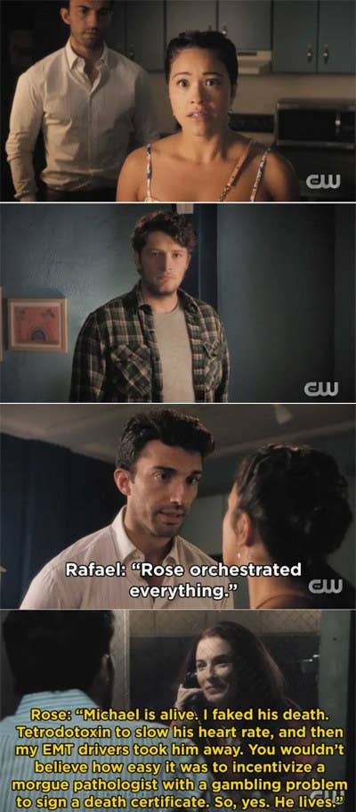 25. Michael reappearing after presumably dying on Jane the Virgin.