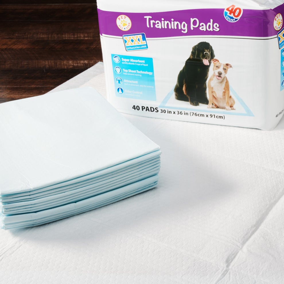 21 Pet Products From Walmart That’ll Be Useful In Emergencies