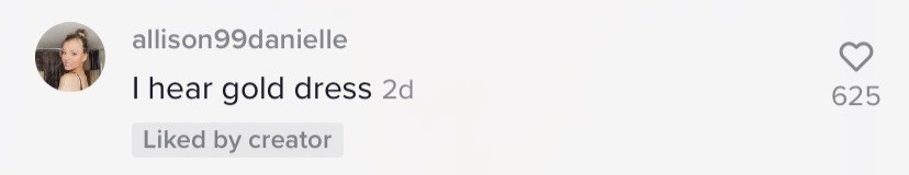 Screenshot of TikTok comment: &quot;i hear gold dress&quot;