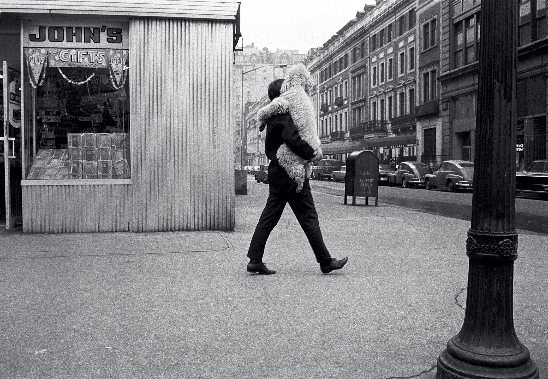 A man carries a large white dog on a city street