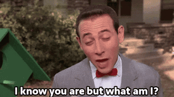 Pee-wee saying &quot;I know you are but what am I?&quot;