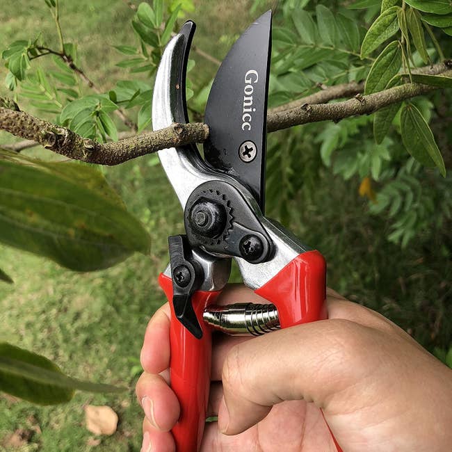 pruning sheers with a red handle